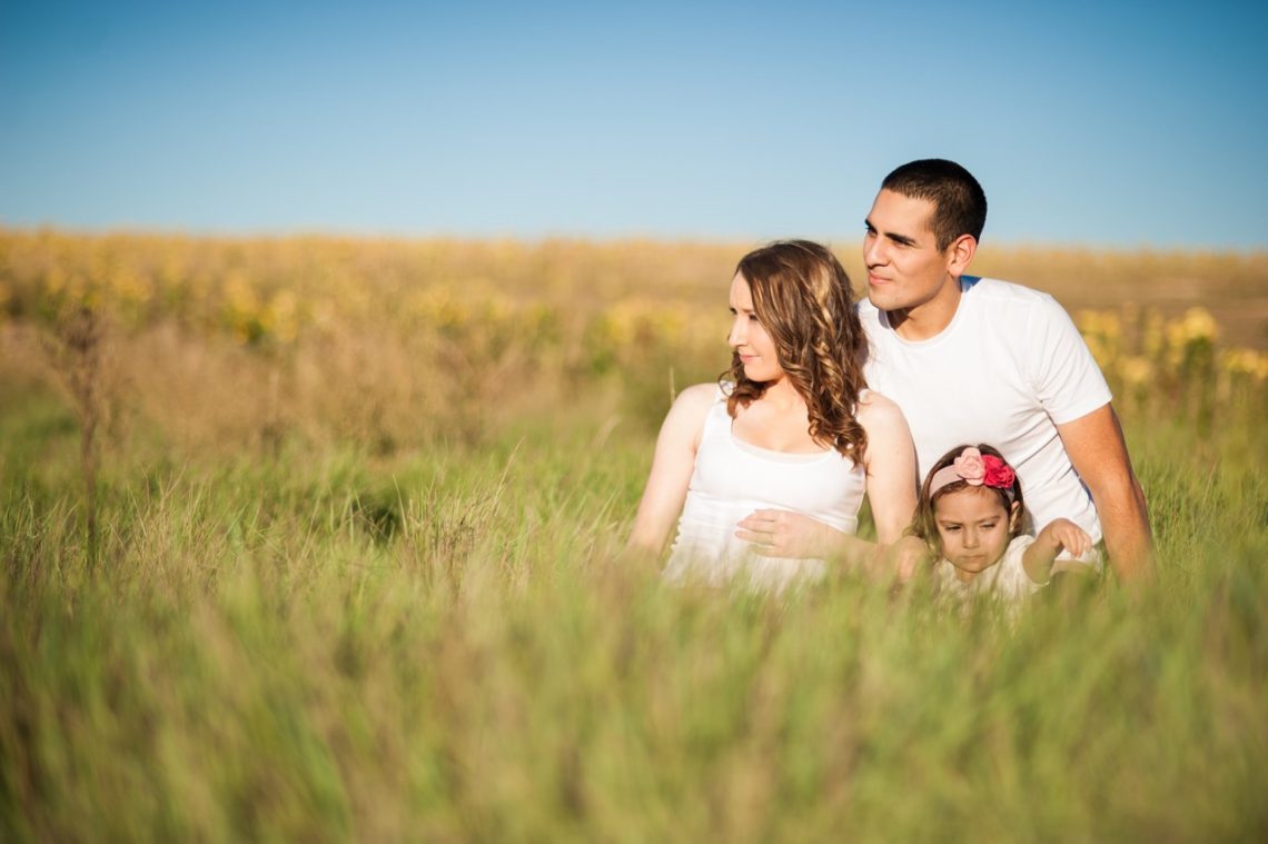 Image of family in meadow